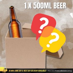 Random Beer (1 x 500ml)