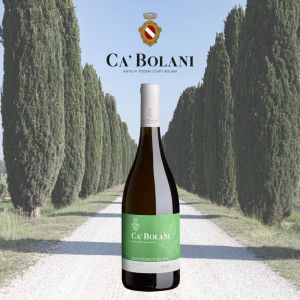 Ca Bolani Sauvignon Blanc