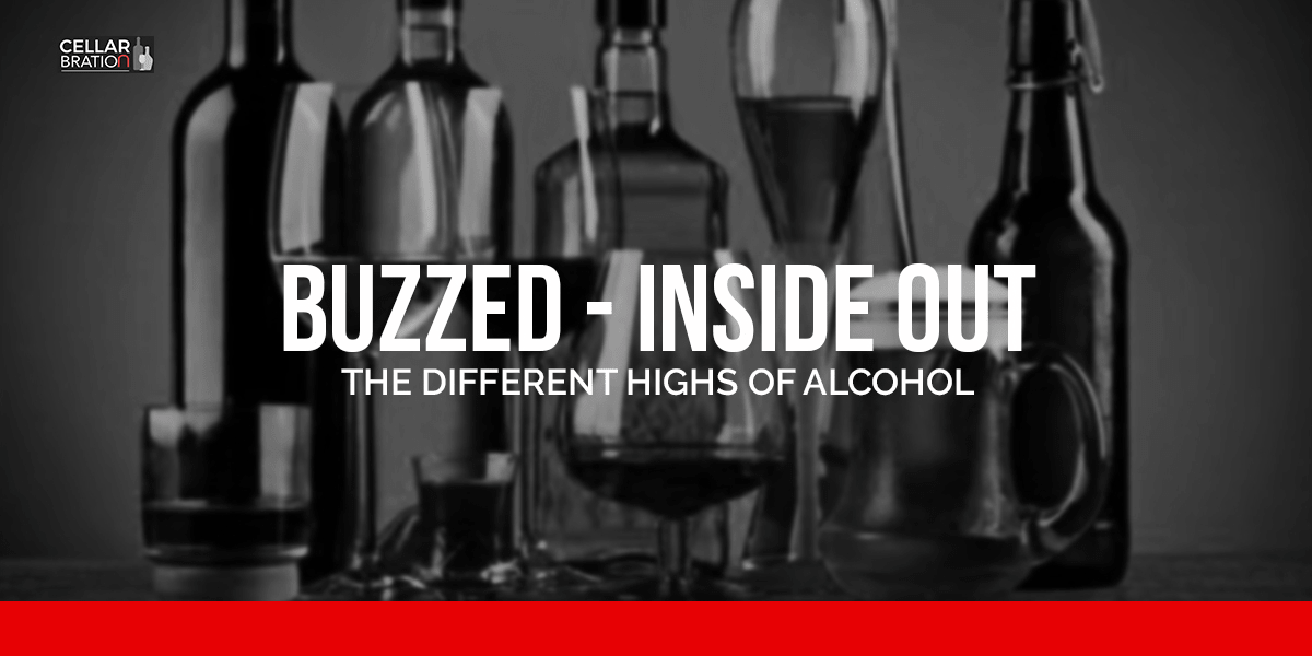 BUZZED- INSIDE OUT Different Highs Of Alcohol